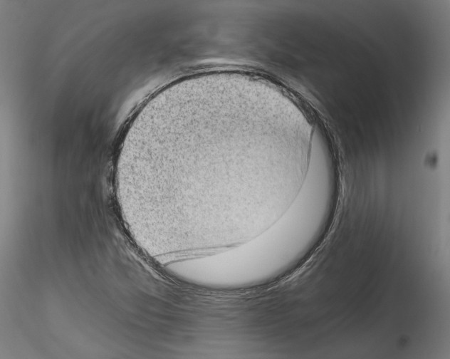 X0000114521357200911301107