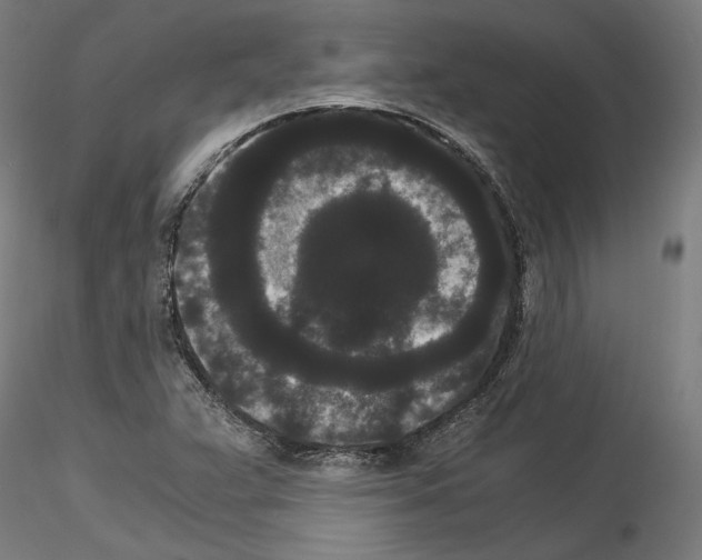 X0000114521359200911301107