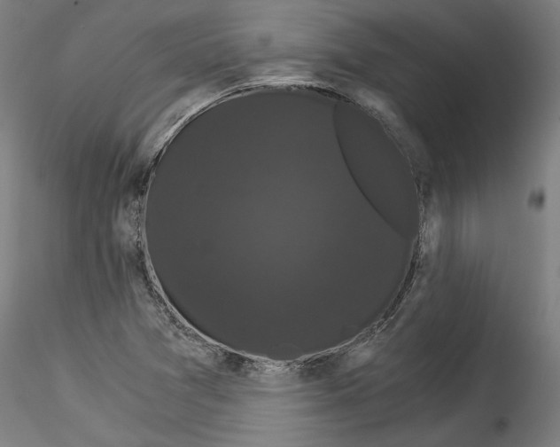 X0000114521361200911301107