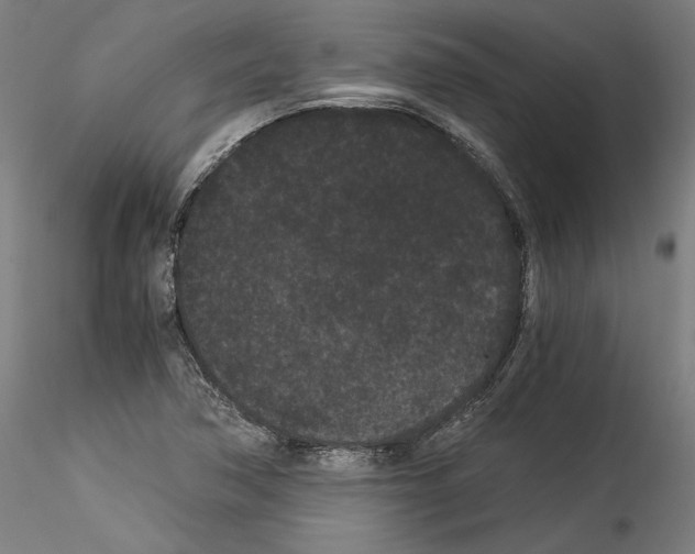 X0000114521362200911301107