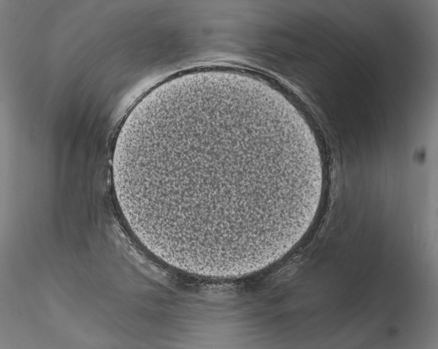 X0000114521363200911301107