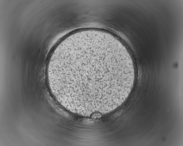 X0000114521364200911301107