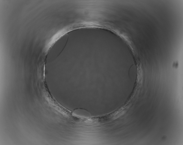 X0000114521365200911301107