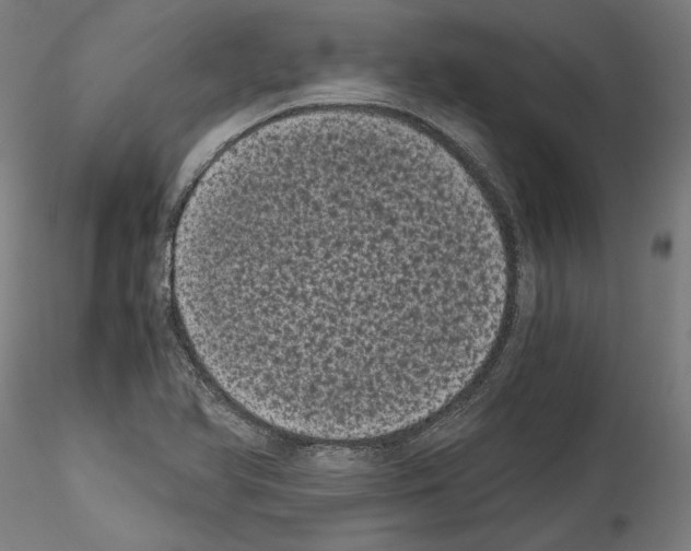 X0000114521366200911301107