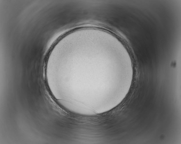 X0000114521368200911301107