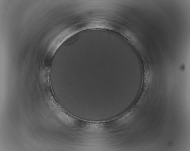 X0000114521369200911301107