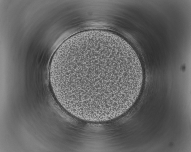 X0000114521370200911301107