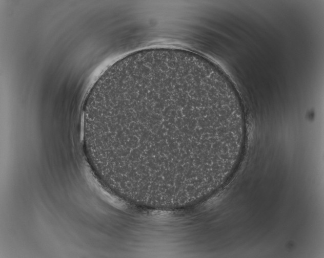 X0000114521371200911301107