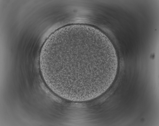 X0000114521374200911301106