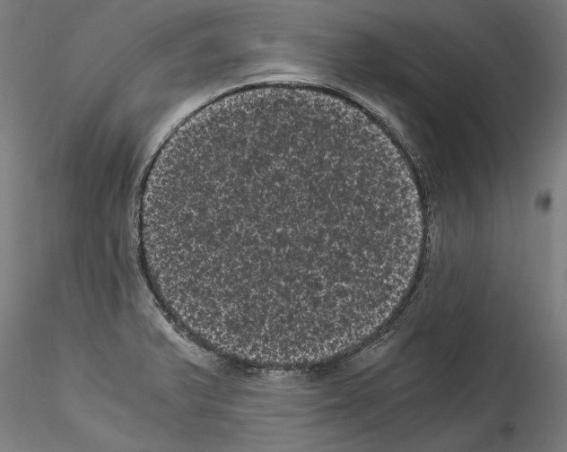 X0000114521375200911301106