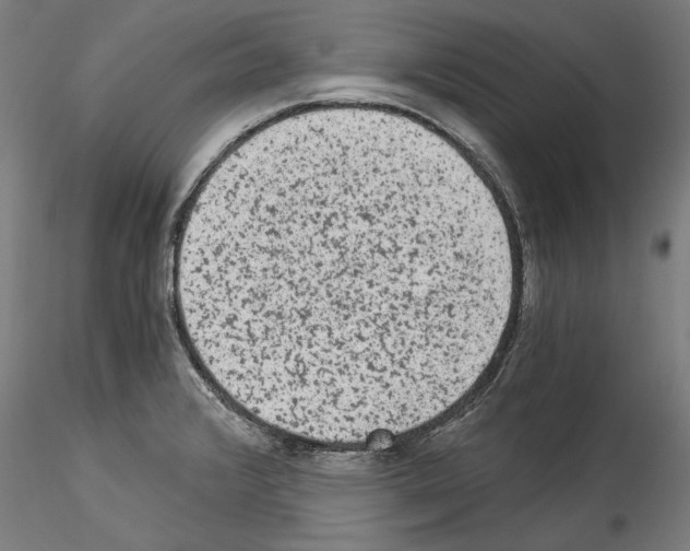 X0000114521376200911301106