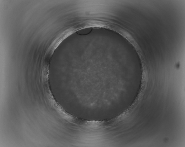 X0000114521377200911301106