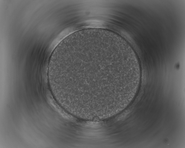 X0000114521378200911301106