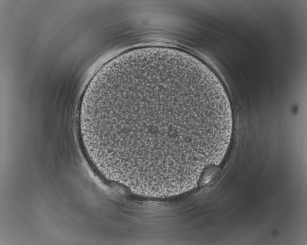 X0000114521379200911301106