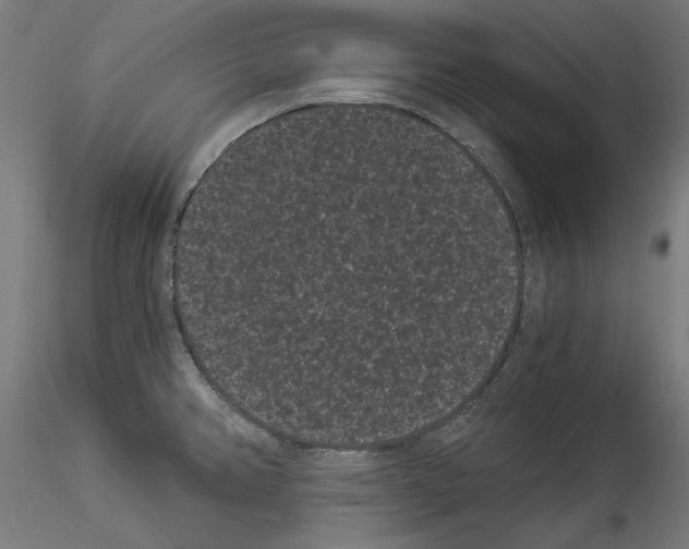 X0000114521382200911301106