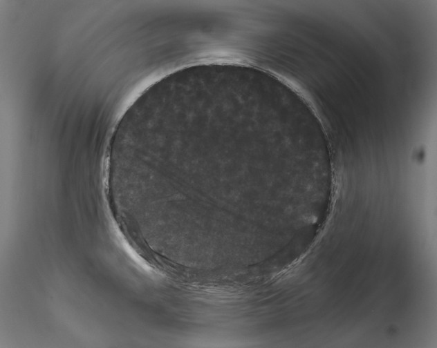 X0000114521383200911301106