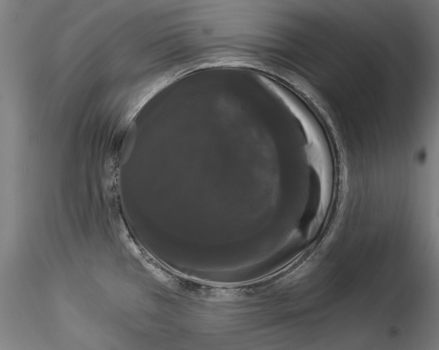 X0000114521385200911301106