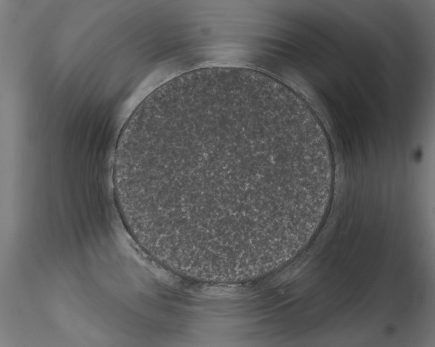 X0000114521386200911301106