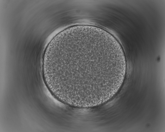 X0000114521387200911301106