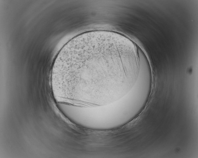 X0000114521389200911301106