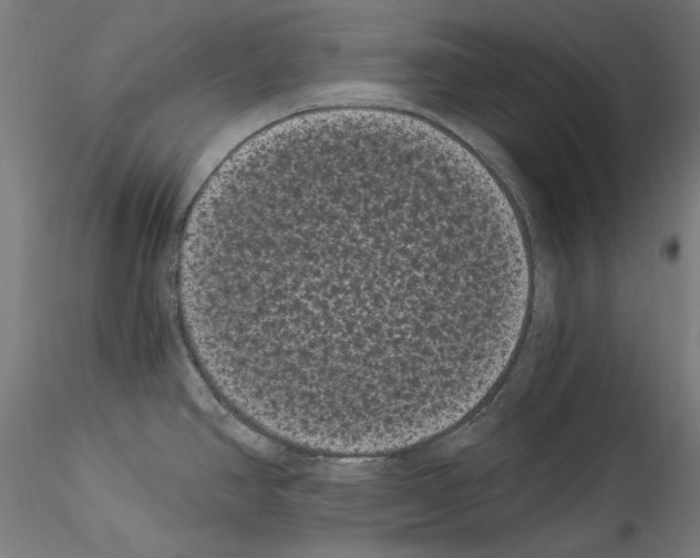 X0000114521390200911301106