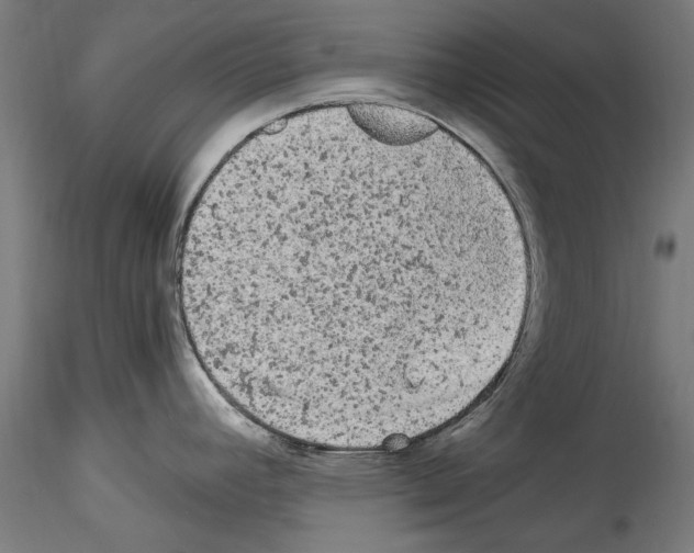 X0000114521392200911301106