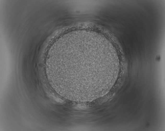 X0000114521393200911301105