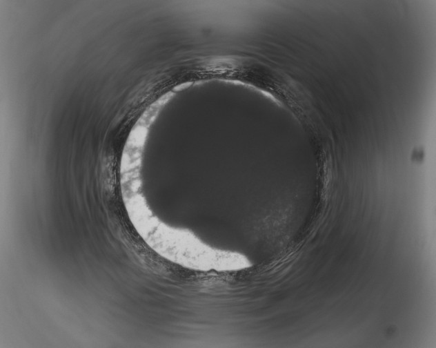 X0000114521394200911301105