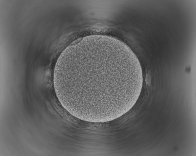 X0000114521396200911301105