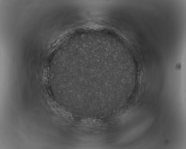 X0000114521397200911301105