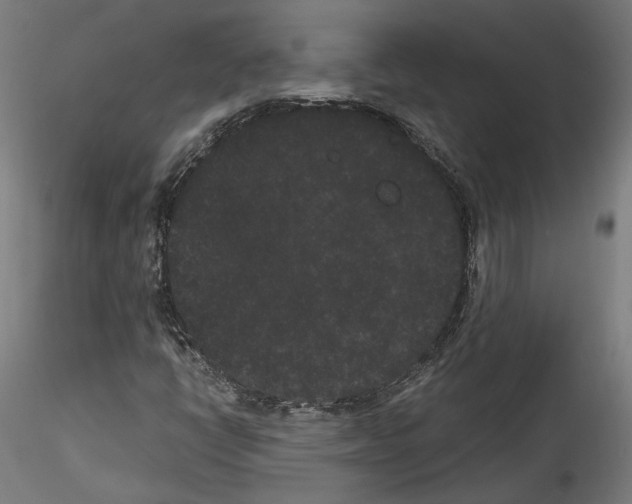 X0000114521398200911301105