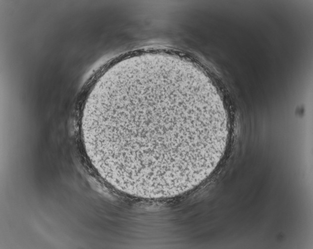 X0000114521400200911301105