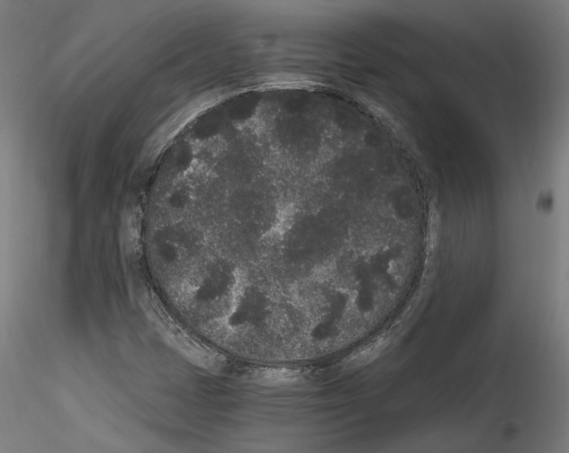 X0000114521401200911301105