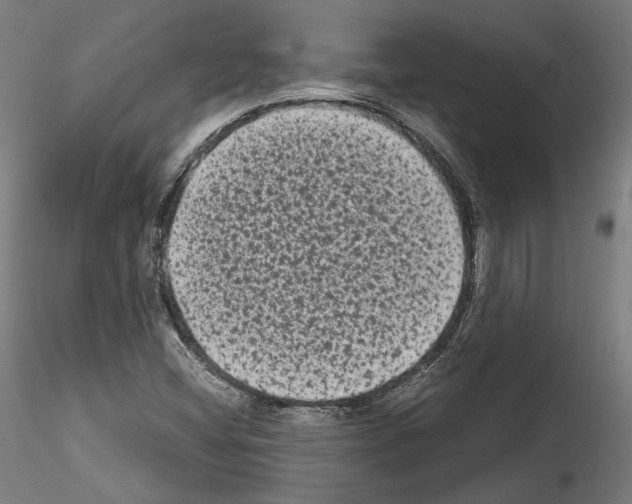 X0000114521404200911301106