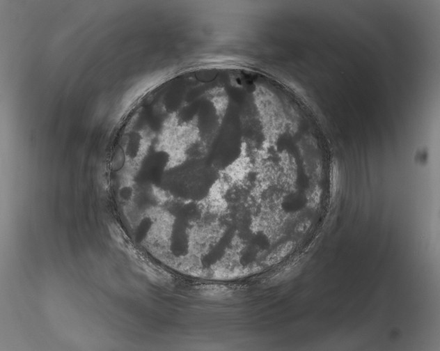 X0000114521405200911301106