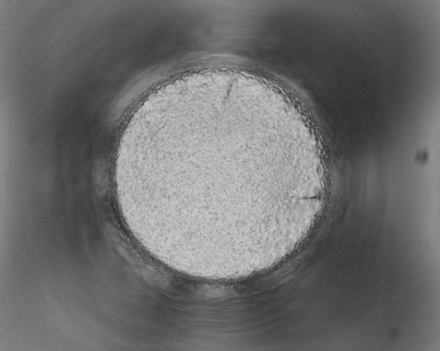 X0000114521407200911301106