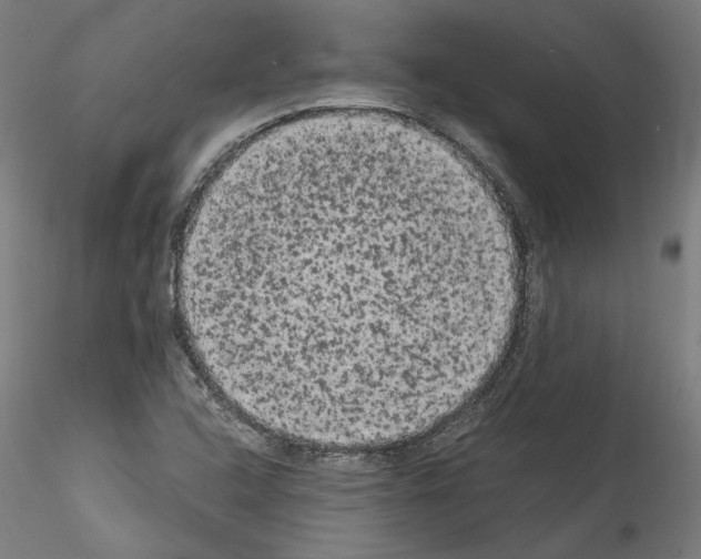 X0000114521408200911301106