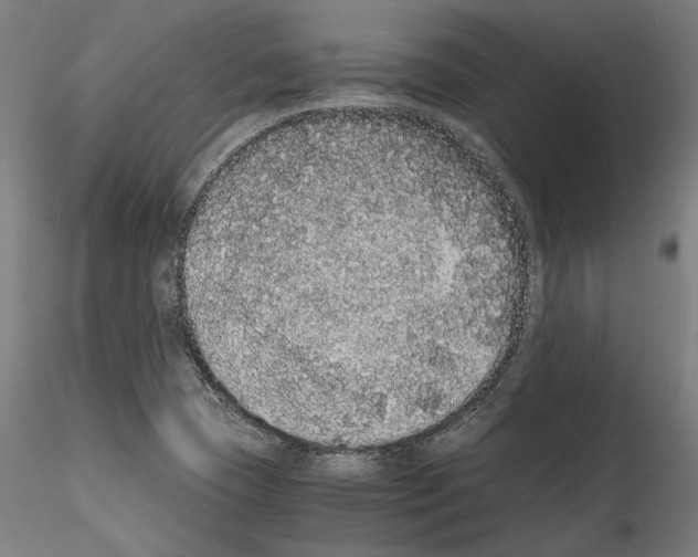 X0000114521409200911301106