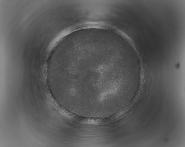 X0000114521411200911301106