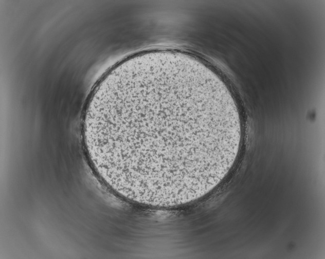 X0000114521412200911301106