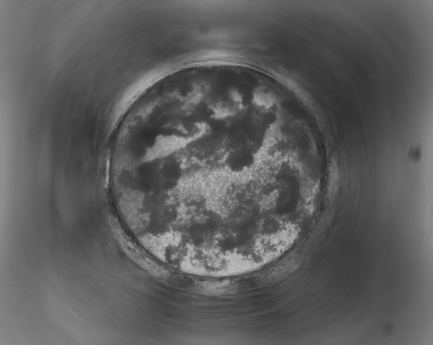 X0000114521413200911301106