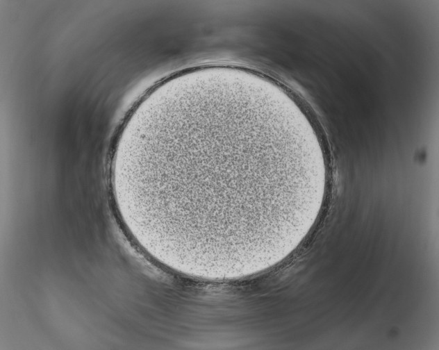 X0000114521416200911301106