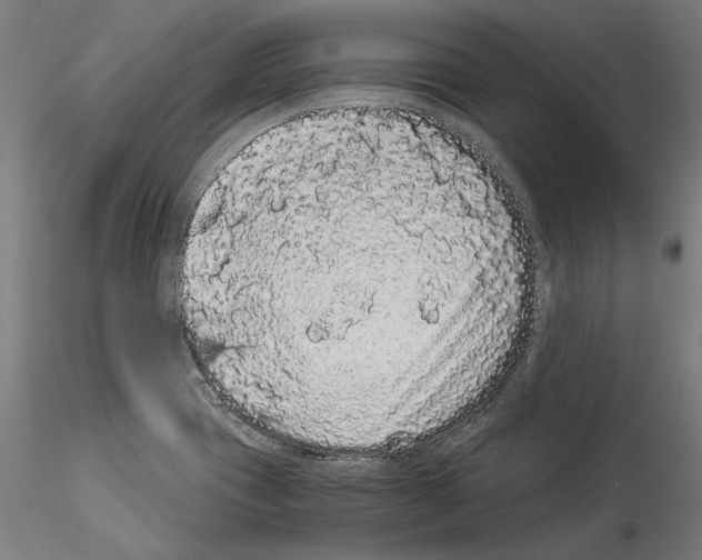 X0000114521417200911301106