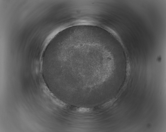 X0000114521419200911301106