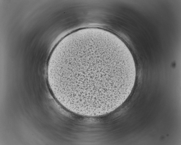 X0000114521420200911301106