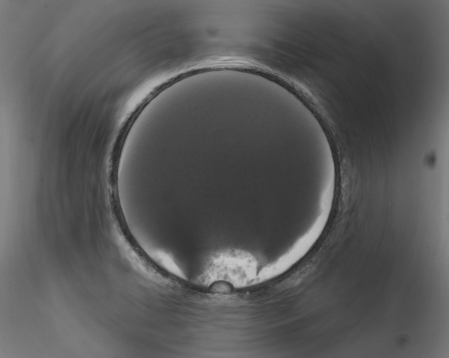 X0000114521422200911301106