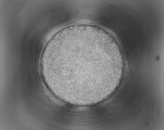 X0000114521423200911301106