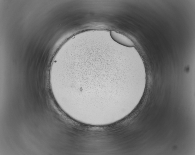 X0000114521424200911301106