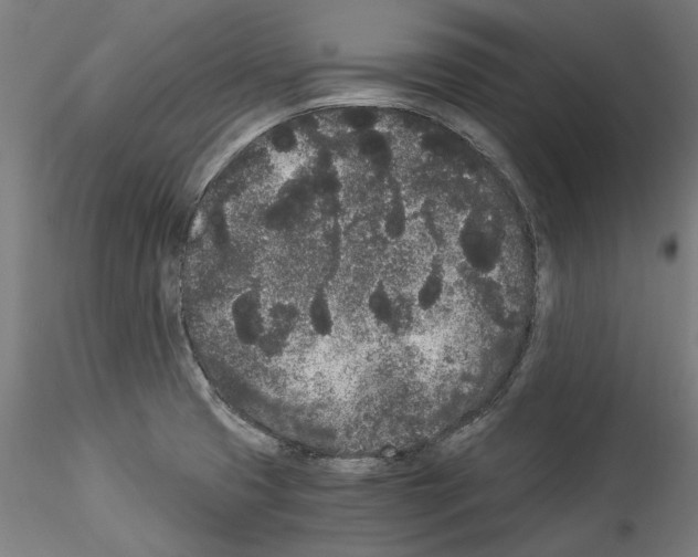 X0000114521425200911301106