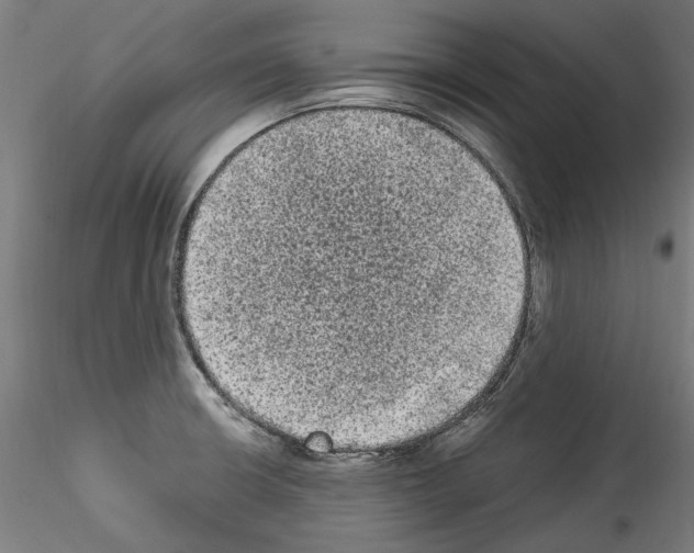 X0000114521426200911301106